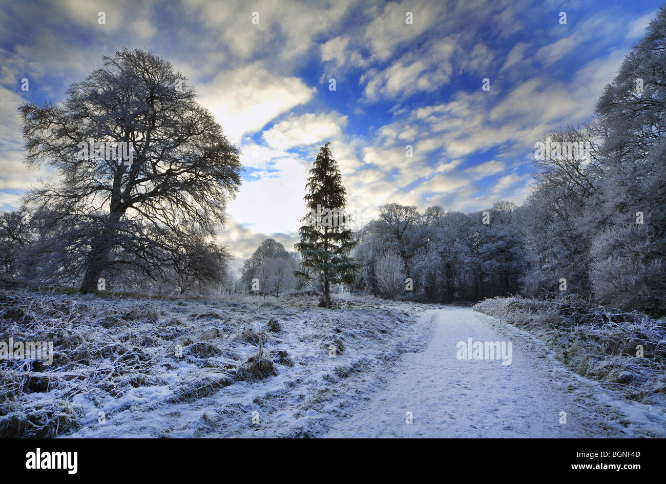 Incantevole paesaggio invernale in Irlanda Foto Stock
