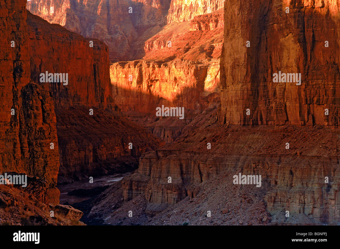 All'interno di pareti del Grand Canyon a Redwall Cavern appena al di sopra del Presidente Harding rapide sul fiume Colorado Foto Stock
