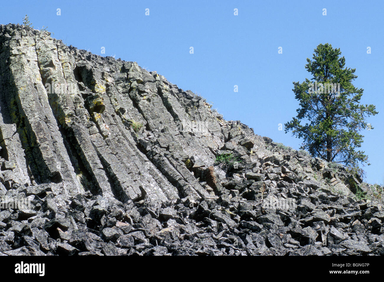 Sheepeater cliff, una roccia di basalto formazione in Yellowstone NP, Wyoming USA Foto Stock