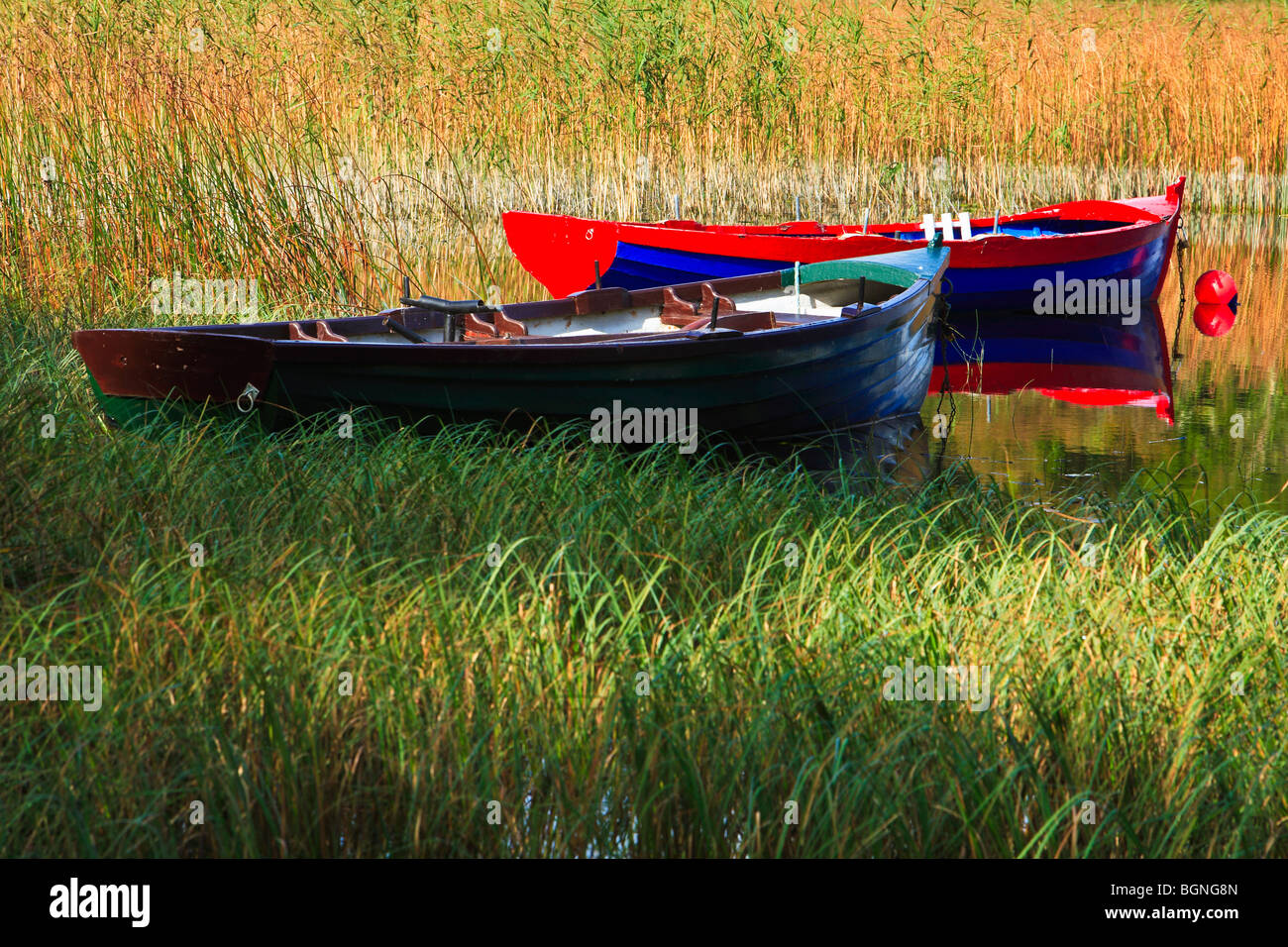 Coloratissime barche di pescatori. L'Irlanda Foto Stock