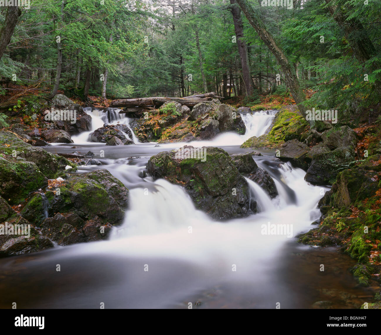 MICHIGAN - Greenstone cade sul piccolo fiume di carpe in contrada deserto montagna parco dello stato. Foto Stock