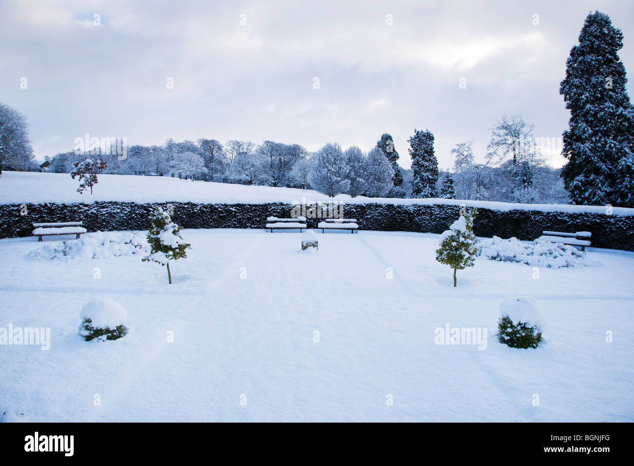 Conyngham Hall giardino in inverno Knaresborough North Yorkshire, Inghilterra Foto Stock