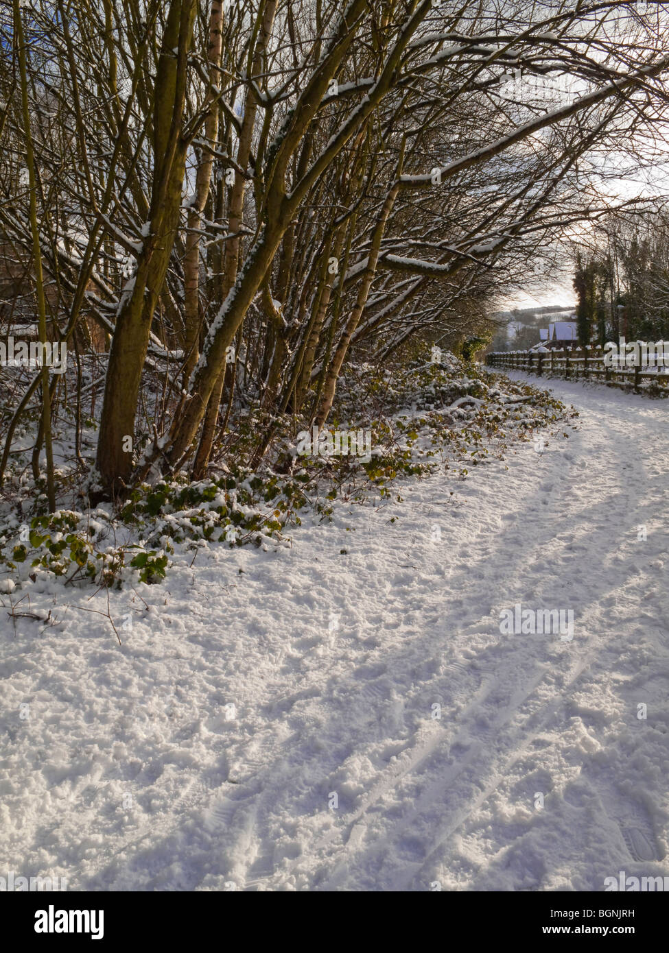 Scena di neve a Matlock Bath nel Derbyshire Regno Unito durante le dure condizioni invernali di gennaio 2010 che durò per diverse settimane Foto Stock