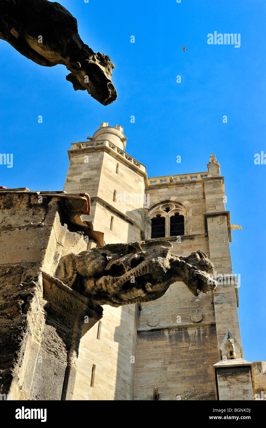 Il chiostro, Cattedrale di San Giusto e Saint Sauveur, Narbonne, Francia. Foto Stock