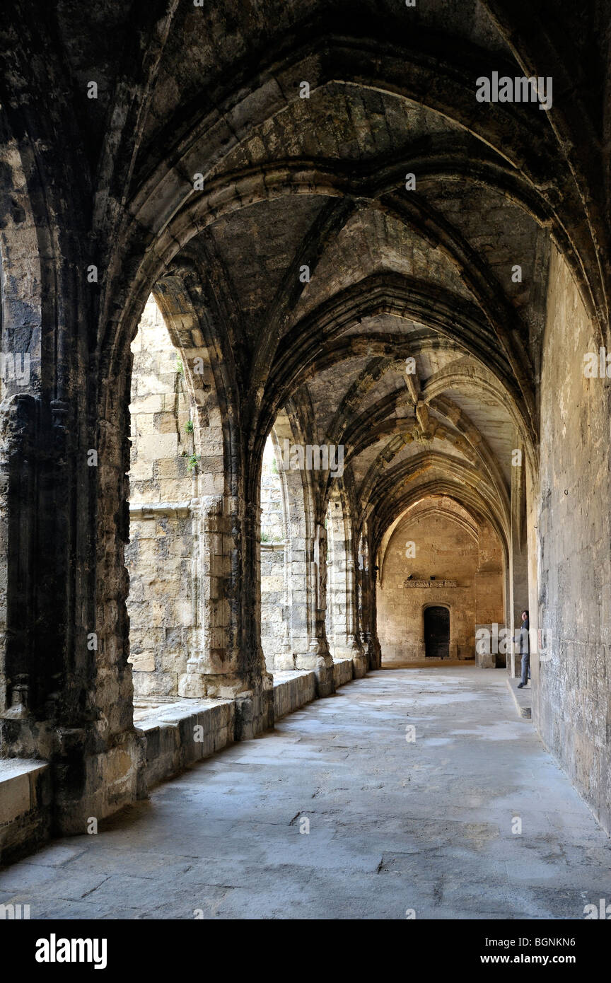Il chiostro, Cattedrale di San Giusto e Saint Sauveur, Narbonne, Francia. Foto Stock