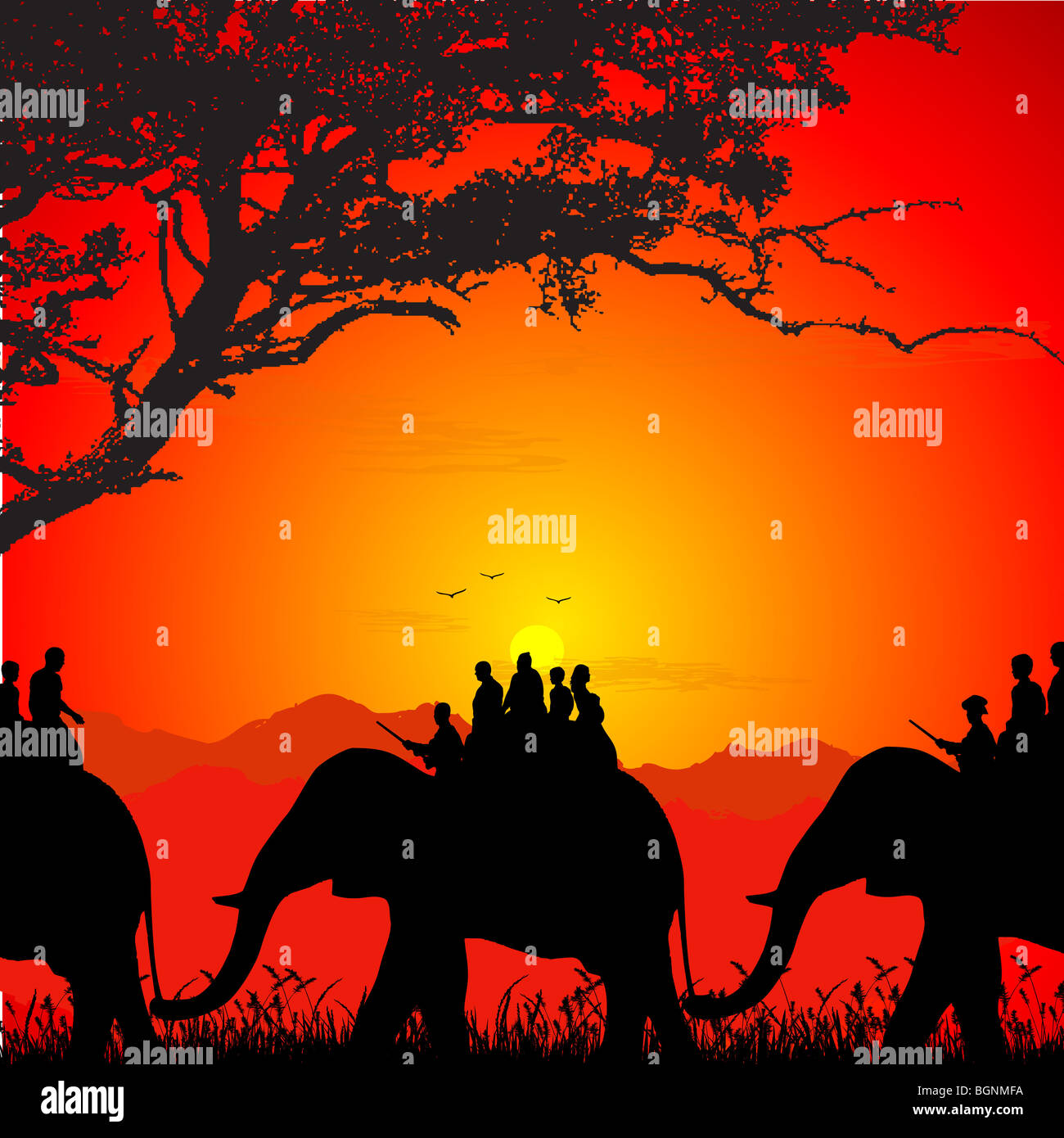 Silhouette di wildlife safari su un elefante Foto Stock