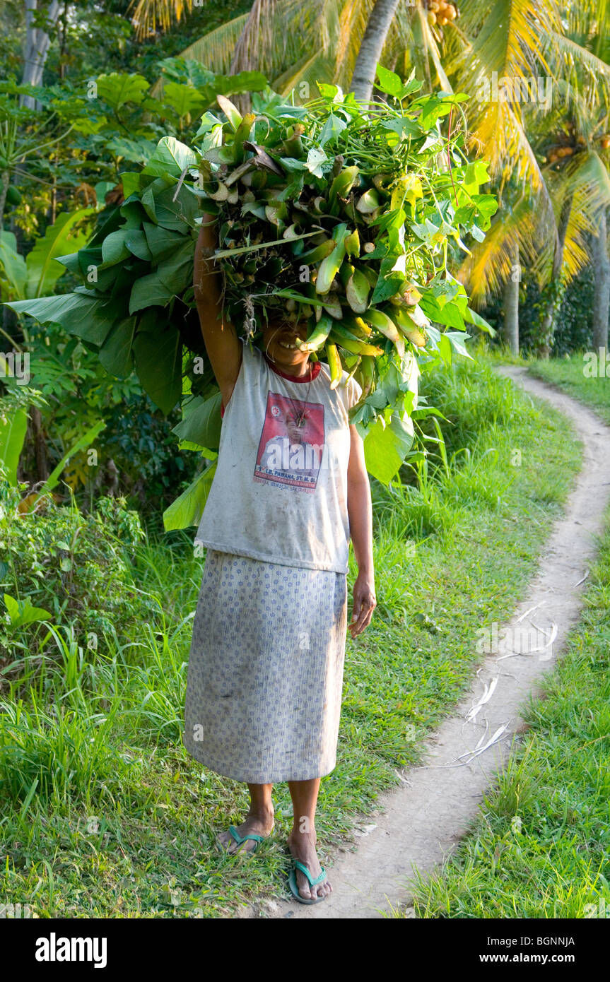 Rurale scena di Bali, Indonesia Foto Stock