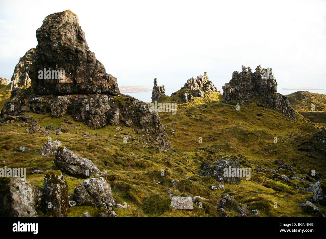 Paesaggio di roccia a Staffin Bay, Trotternish Peninsula, Isola di Skye, Ebridi Interne, Scozia Foto Stock