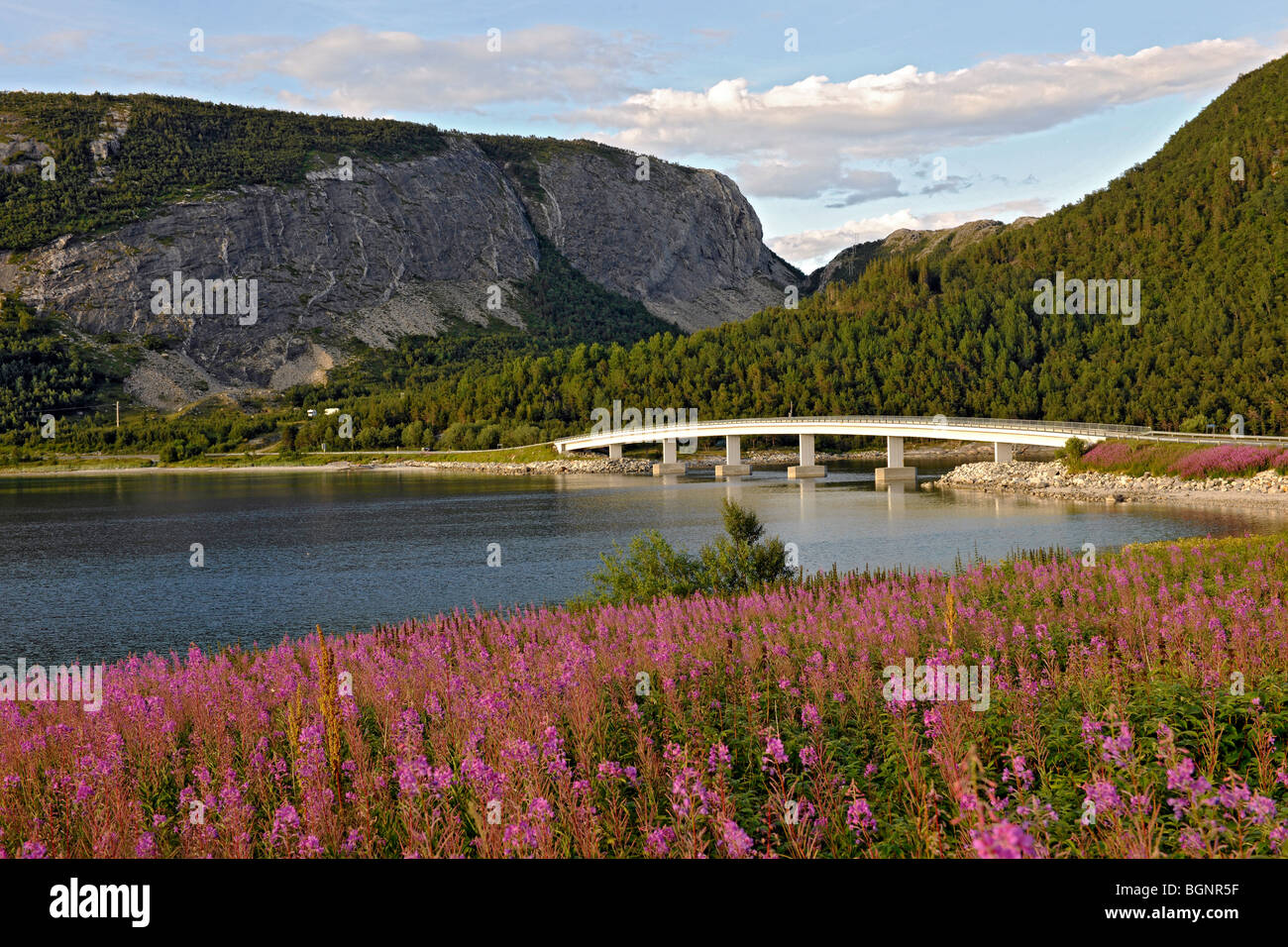 Ponte su un fiordo norvegese, sulla strada costiera Kystriksveien, nel nord della Norvegia Foto Stock