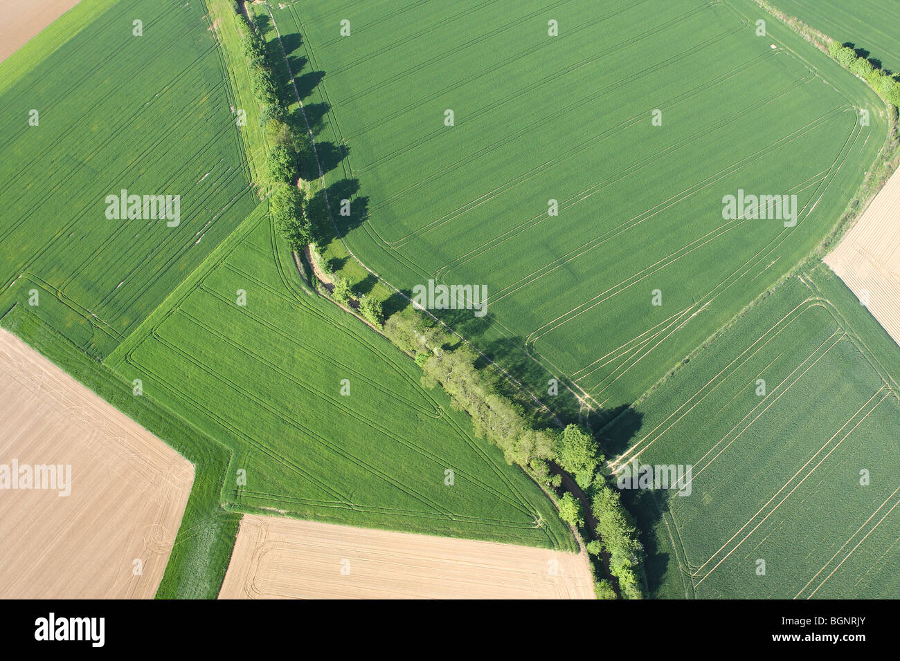 Zona agricola con i campi, praterie e siepi dall'aria, Belgio Foto Stock