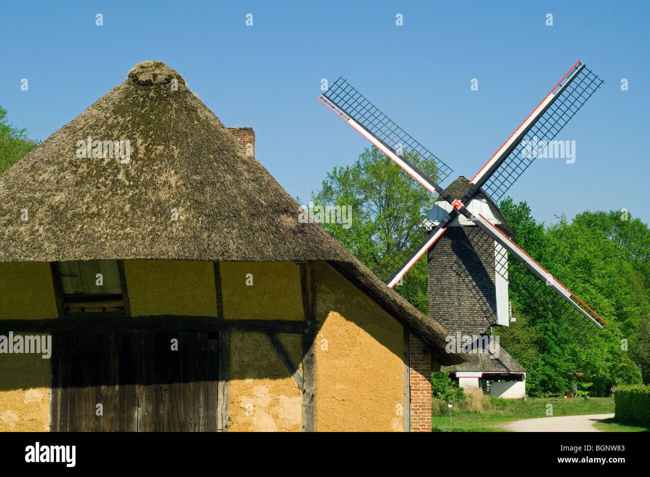 Il mulino a vento Standerd e tradizionale casa colonica con il tetto di paglia a open air museum Bokrijk, Belgio Foto Stock