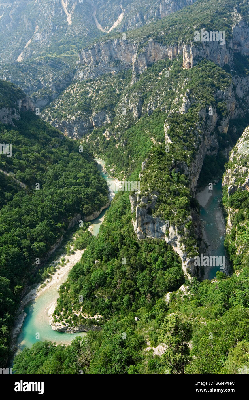 Meandro e ripida rupe calcarea affacciata del canyon Gorges du Verdon / Verdon Gorge, Alpes-de-Haute-Provence, Provenza, Francia Foto Stock