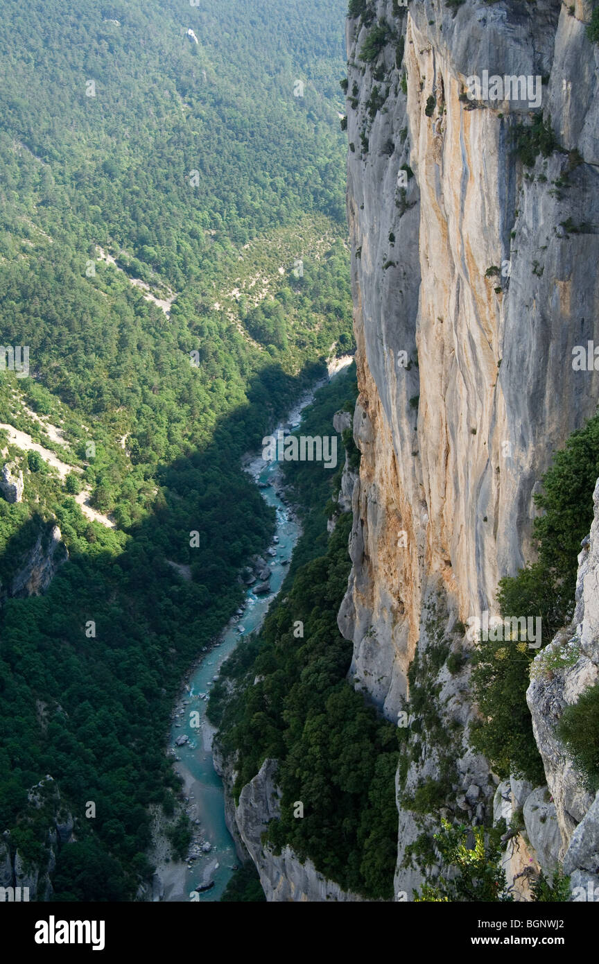 La ripida roccia calcarea affacciata del canyon Gorges du Verdon / Verdon Gorge, Alpes-de-Haute-Provence, Provenza, Francia Foto Stock