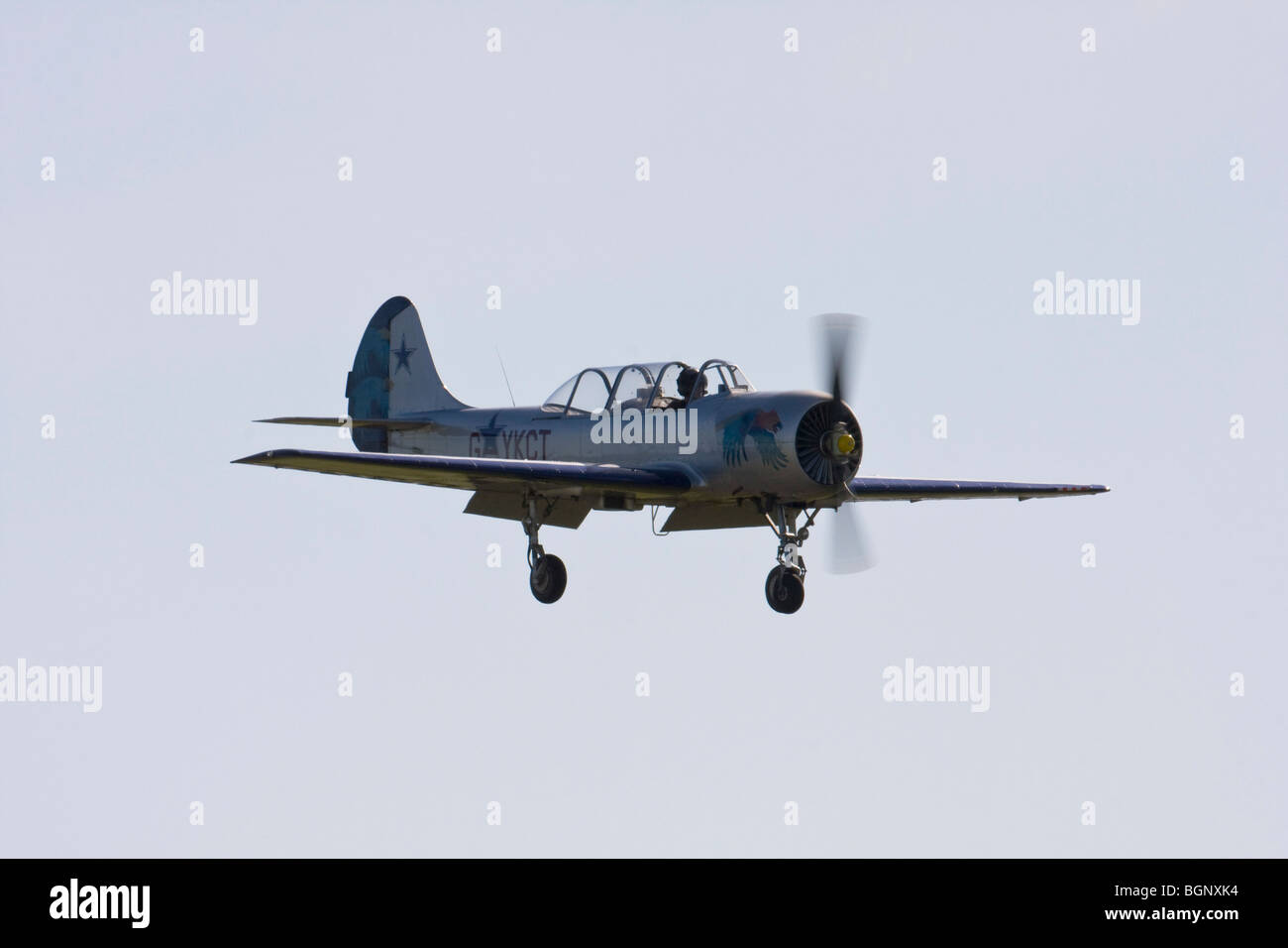 I Cosacchi aerobatic team display battenti Yak 52's a RAF Leuchars Airshow 2009, Fife, Scozia Foto Stock