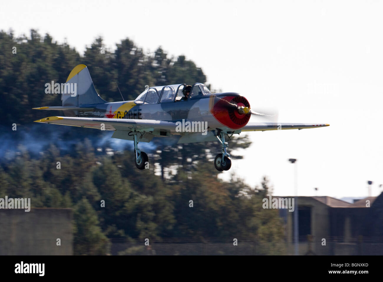 I Cosacchi aerobatic team display battenti Yak 52's a RAF Leuchars Airshow 2009, Fife, Scozia Foto Stock