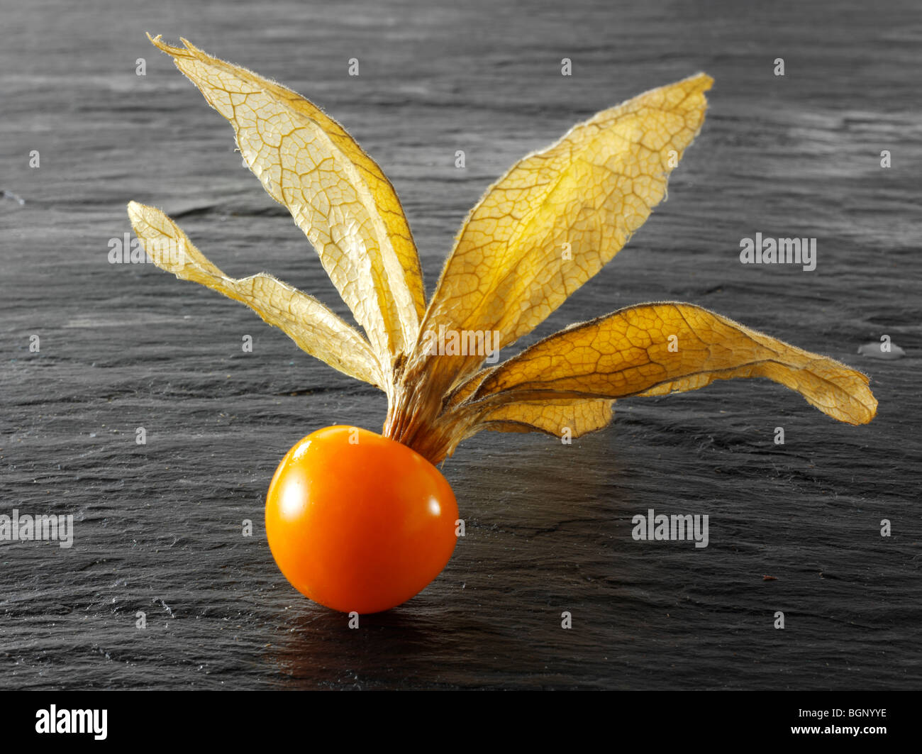 Bacca di Capo biologica ( Physalis peruviana ) - Incan Berry cibo super contro uno sfondo nero Foto Stock