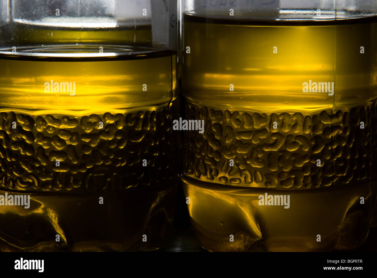 Bottiglie di greggio Olio di oliva per la verifica presso gli impianti di laboratorio Foto Stock