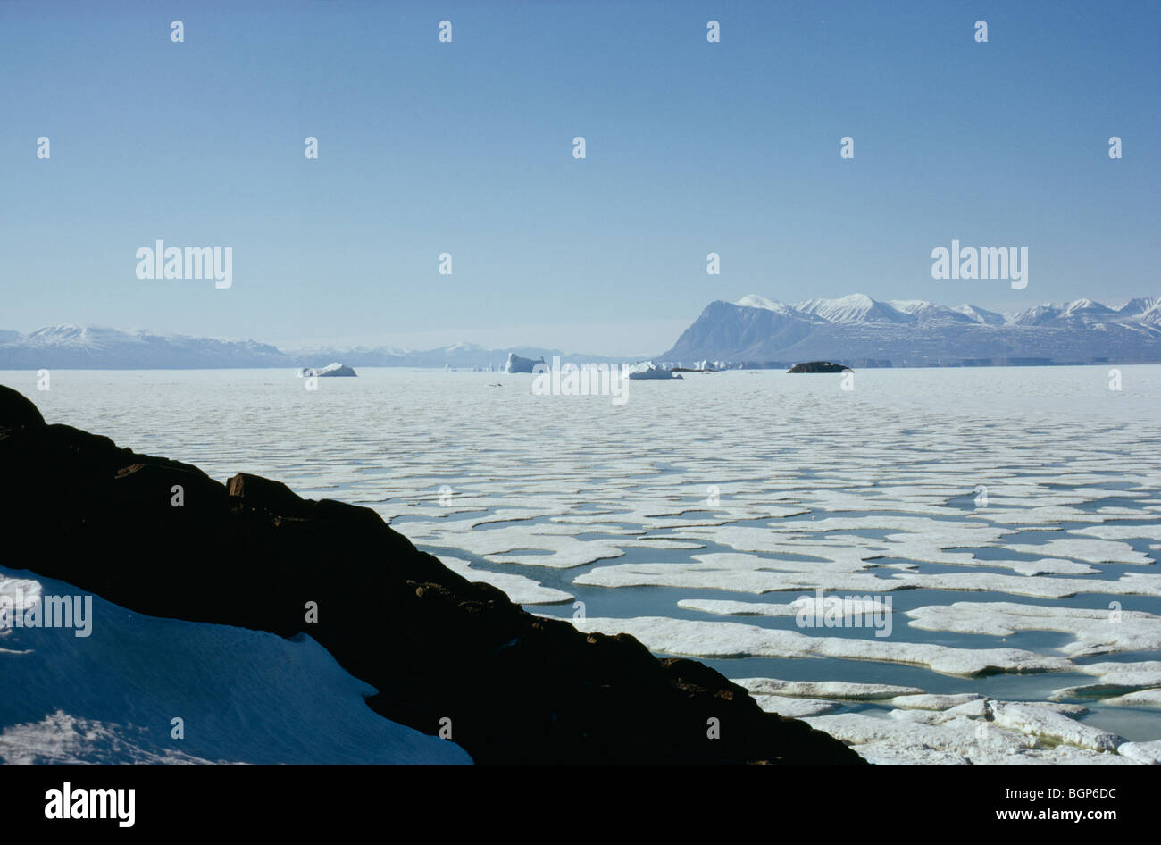 Ice floes nell'oceano, la Groenlandia. Foto Stock