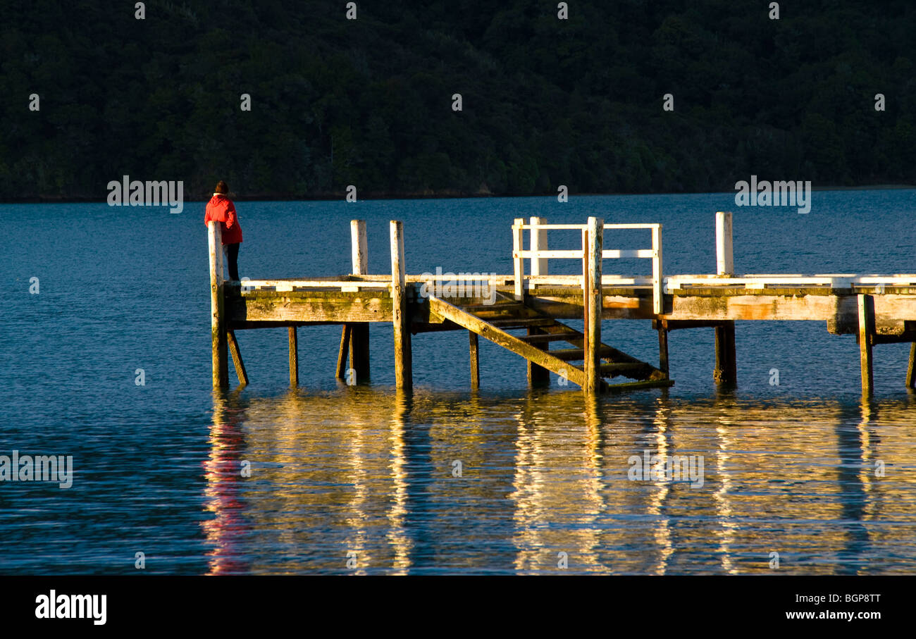 Queen Charlotte Sound, Isola del Sud, Nuova Zelanda Foto Stock