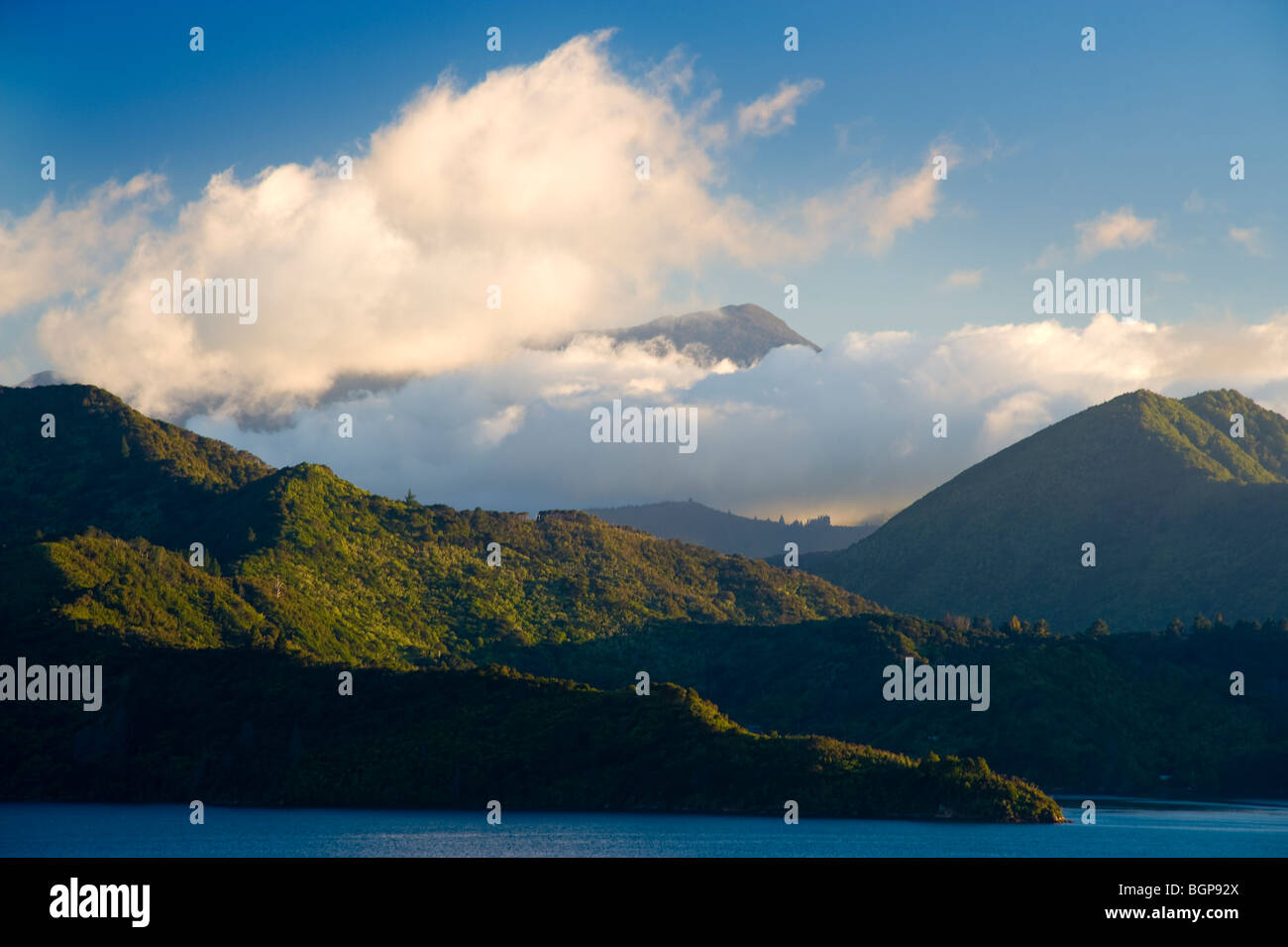 Queen Charlotte Sound, Isola del Sud, Nuova Zelanda Foto Stock