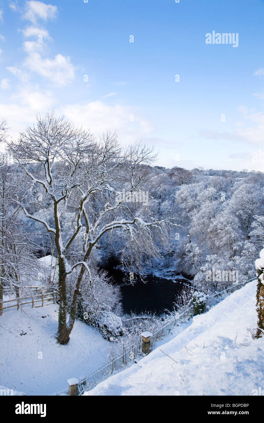 Nidd Gorge in inverno dal Castello Knaresborough North Yorkshire, Inghilterra Foto Stock