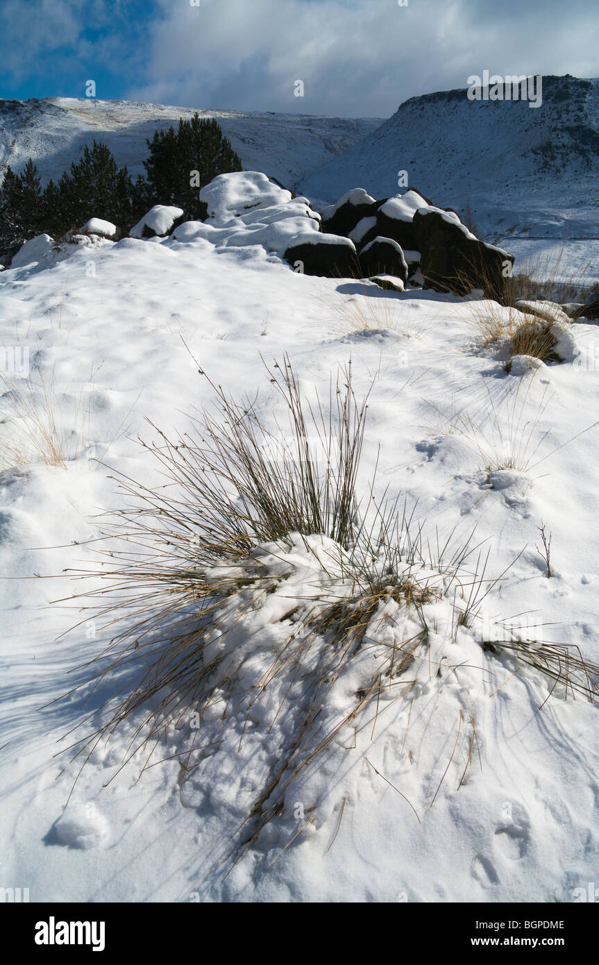 Neve, Binn verde, Saddleworth UK, 2009 Foto Stock