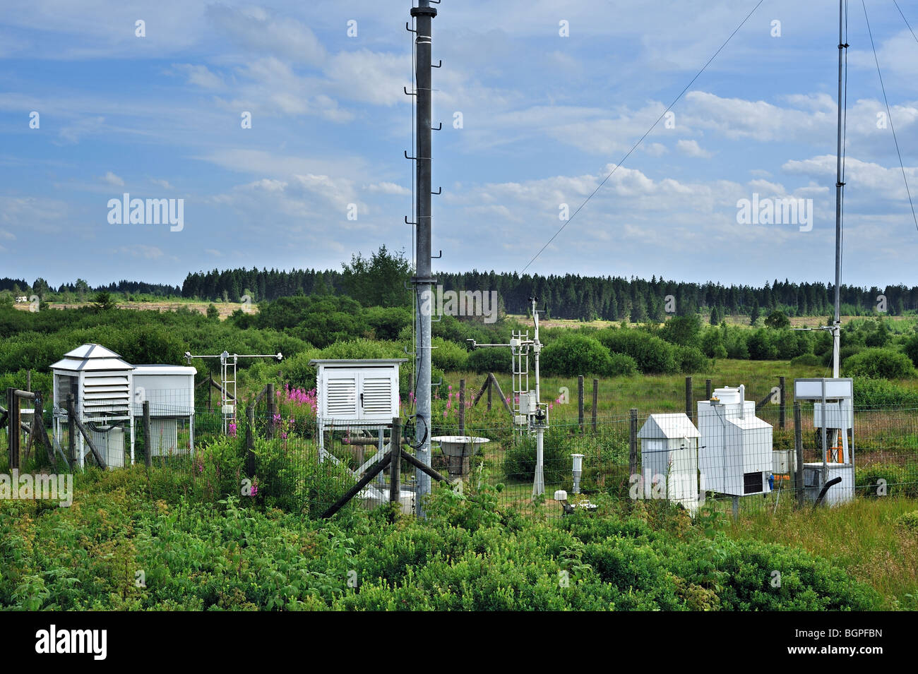 Stazione meteorologica di misurazione della temperatura, la velocità del vento e le precipitazioni a Mont Rigi, Hautes Fagnes / Hautes Fagnes, Ardenne, Belgio Foto Stock