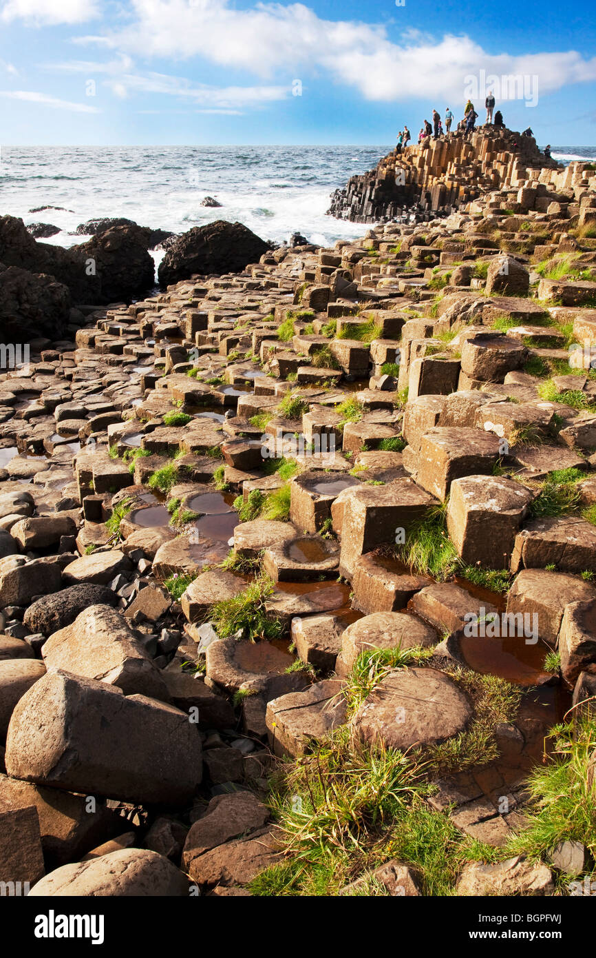 L'isola al Giant's Causeway Antrim Irlanda del Nord un fenomeno naturale e un sito del patrimonio mondiale. Foto Stock