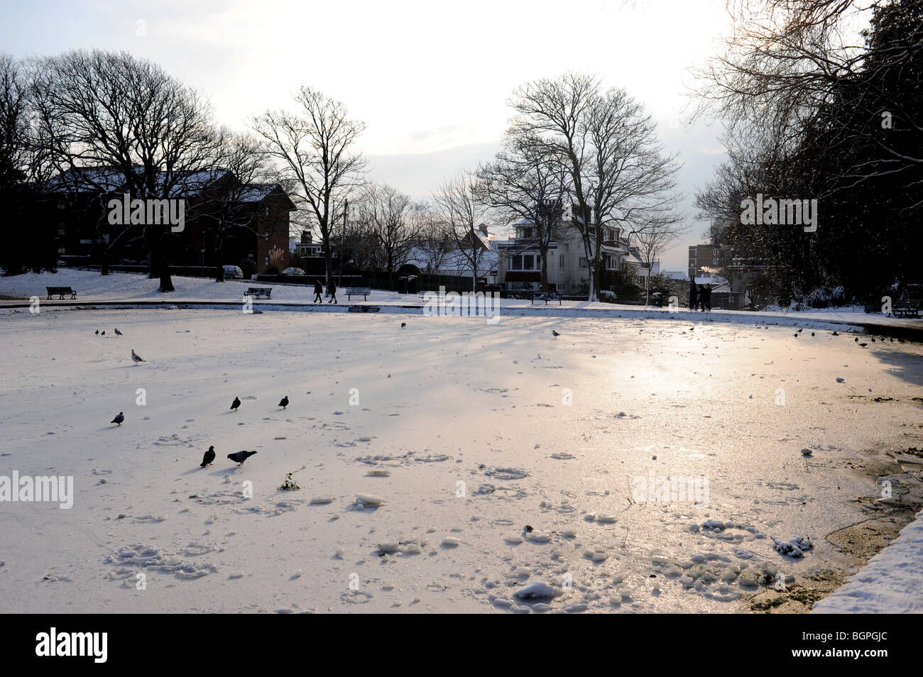 Congelato stagno al Queens Park Brighton SUSSEX REGNO UNITO Foto Stock