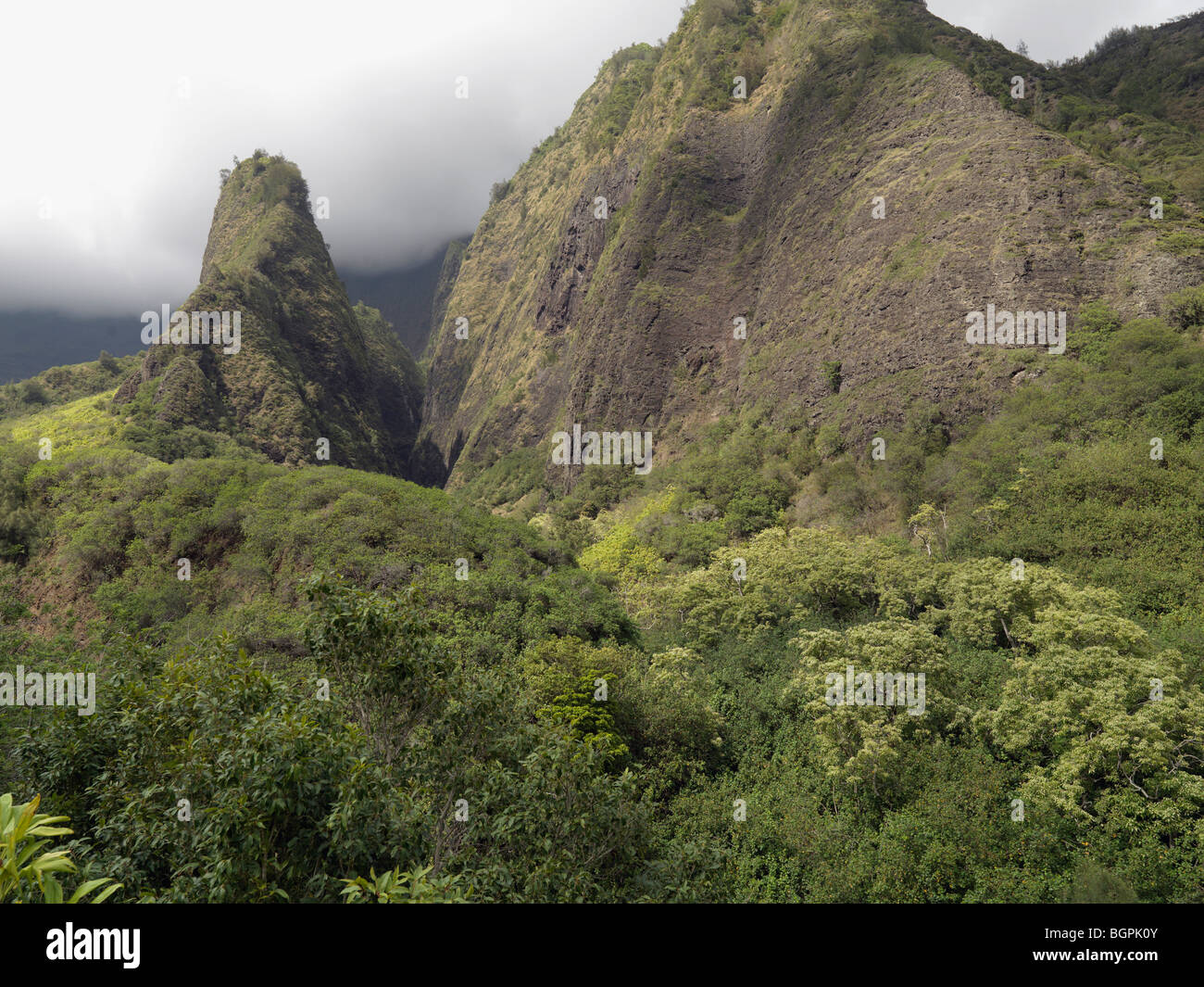 Iao Valley State monumento, Iao Valley, Maui, Hawaii, STATI UNITI D'AMERICA Foto Stock