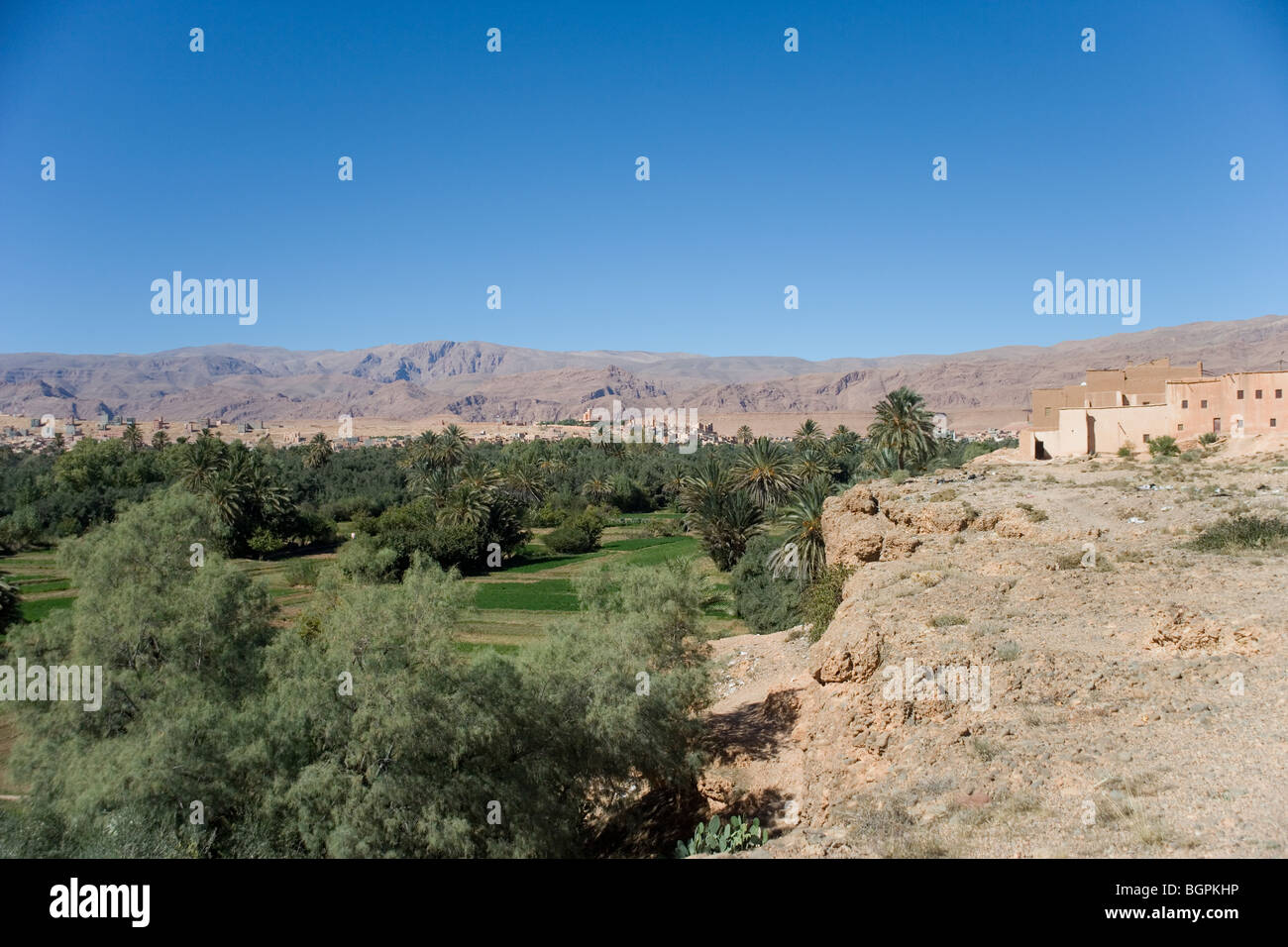 Palmeraie la superficie irrigata di Tinerhir una piccola città in Alto Atlante Mountain Range, Marocco Foto Stock