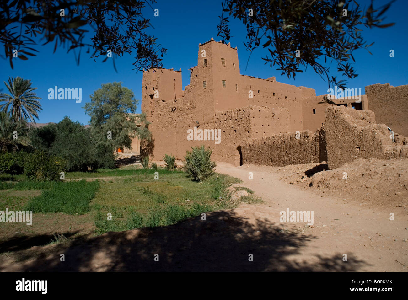 Kasbah si affaccia la Palmeraie la superficie irrigata di Tinerhir una piccola città in Alto Atlante Mountain Range, Marocco Foto Stock