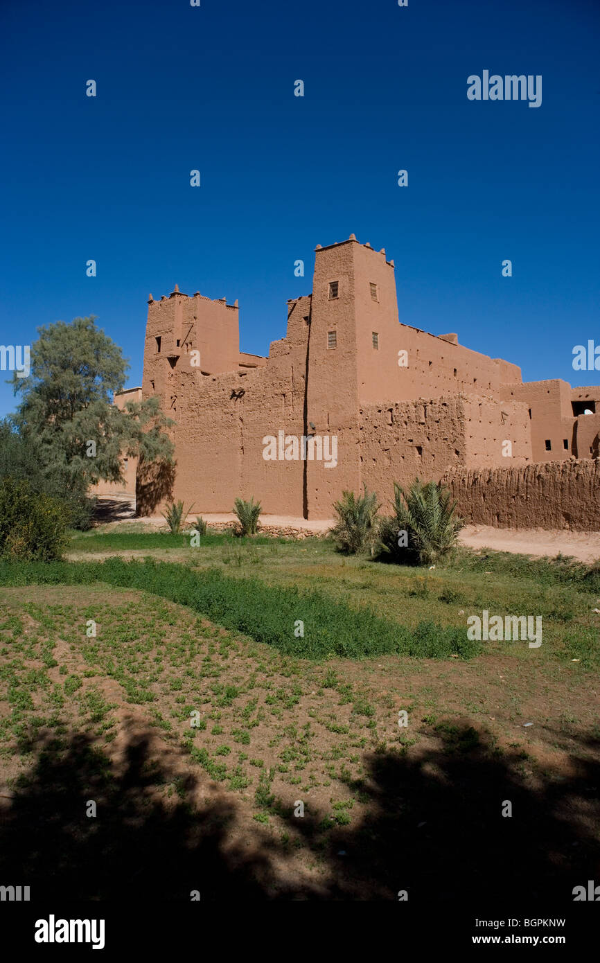 Kasbah si affaccia la Palmeraie la superficie irrigata di Tinerhir una piccola città in Alto Atlante Mountain Range, Marocco Foto Stock