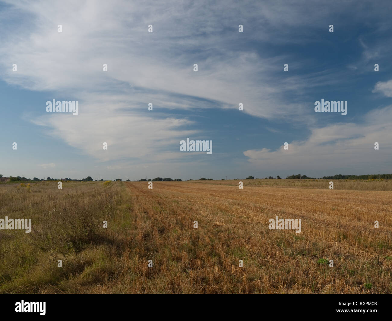 I campi e i prati Foto Stock