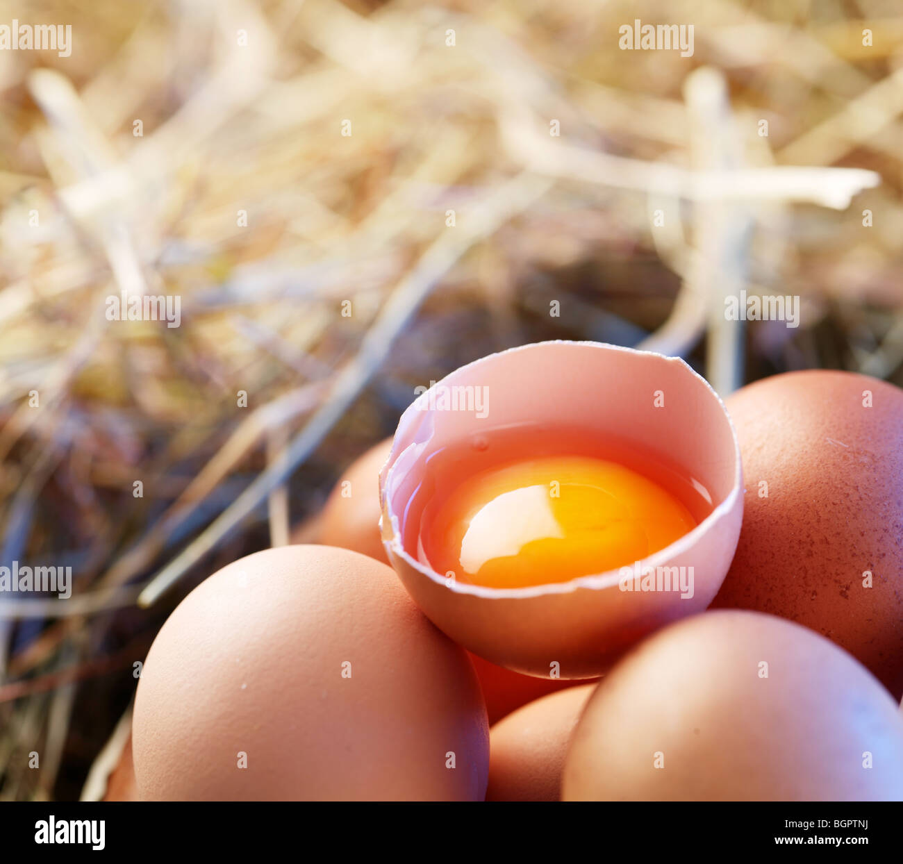 Le uova di gallina in paglia con la metà di un uovo rotto nella luce del mattino. Foto Stock