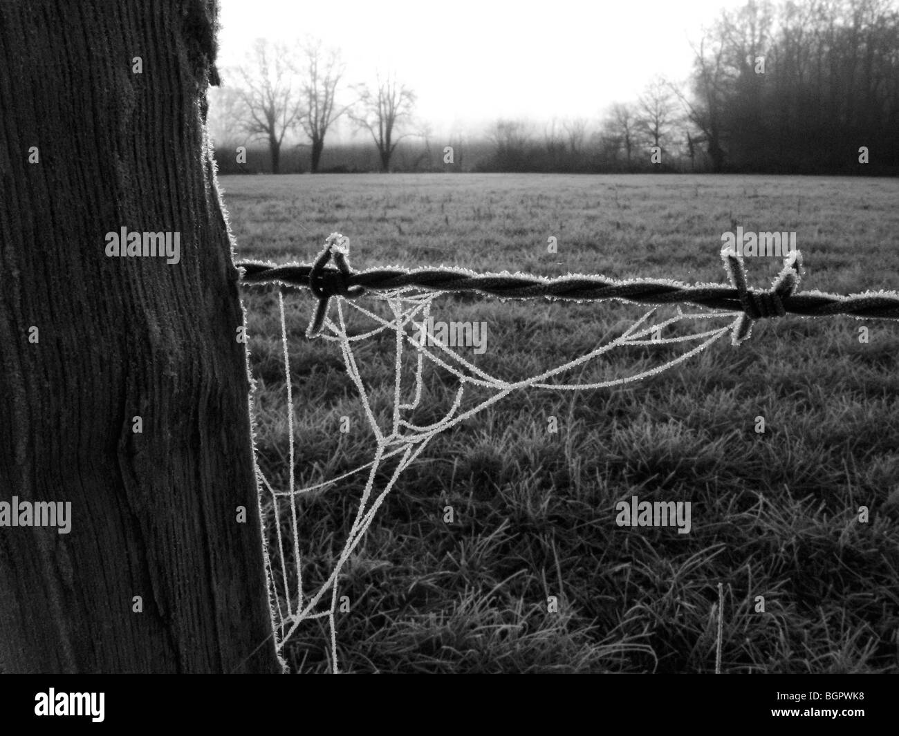Sole sorge su frosty campagna francese. Foto Stock