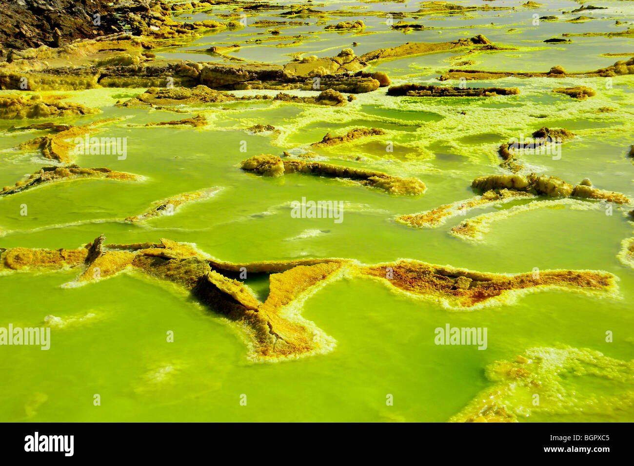 Acido solforico pond Dallol è un vulcanico, danakil depressione, Etiopia Foto Stock