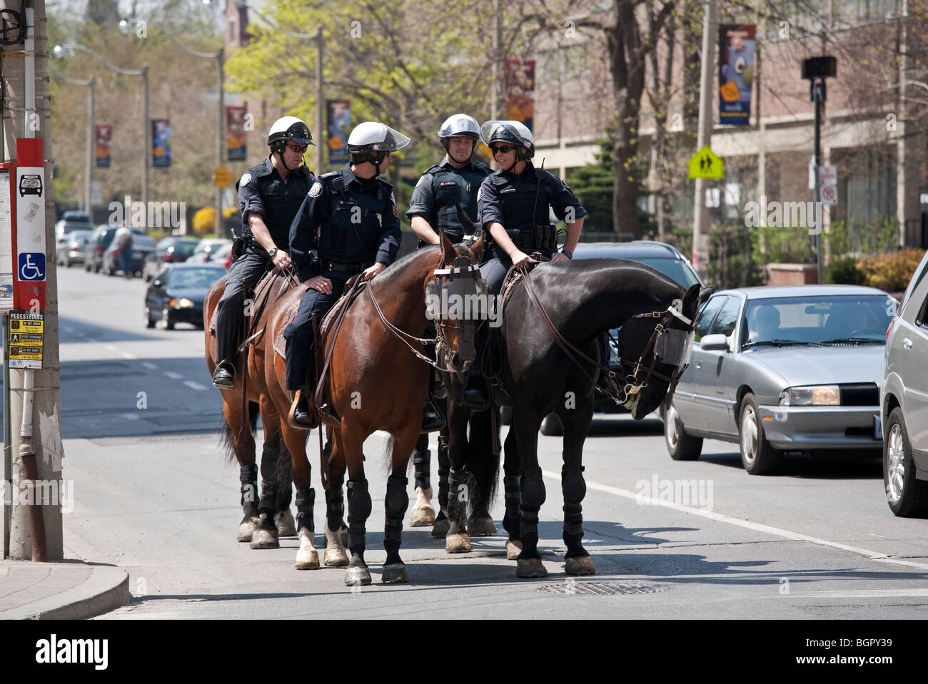 Gruppo di cavalli di polizia montata, Toronto, Canada Foto Stock