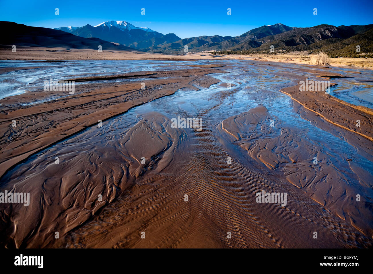 Medano Creek che costeggia le dune. Grande dune sabbiose del Parco Nazionale di Colorado, STATI UNITI D'AMERICA Foto Stock