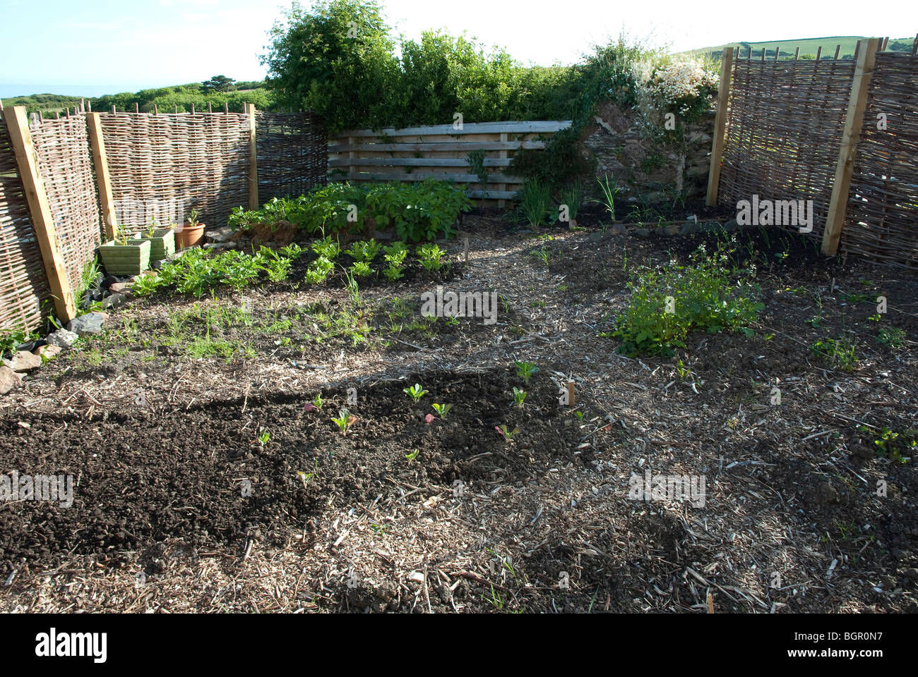 Piccolo appezzamento di verdure con percorsi e ostacoli Foto Stock