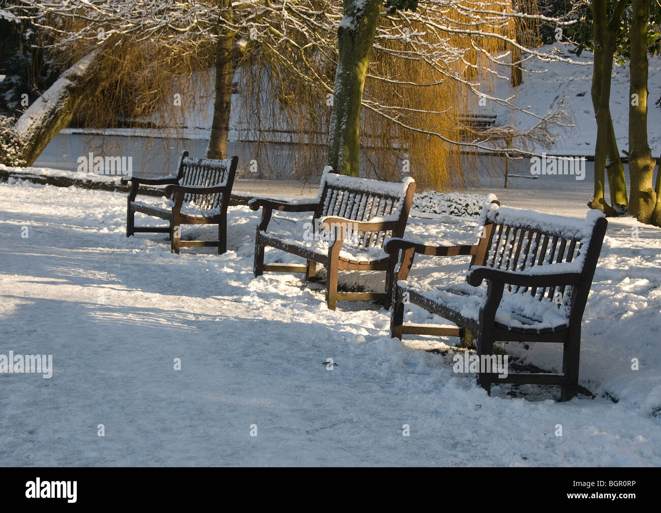 Panchine coperte di neve in giardini botanici, Southport Foto Stock