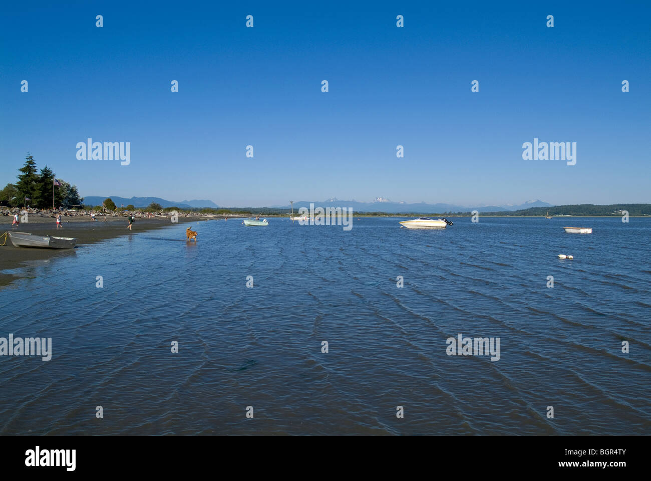 Rising Tide a Camano Island, Washington, Stati Uniti d'America. Foto Stock