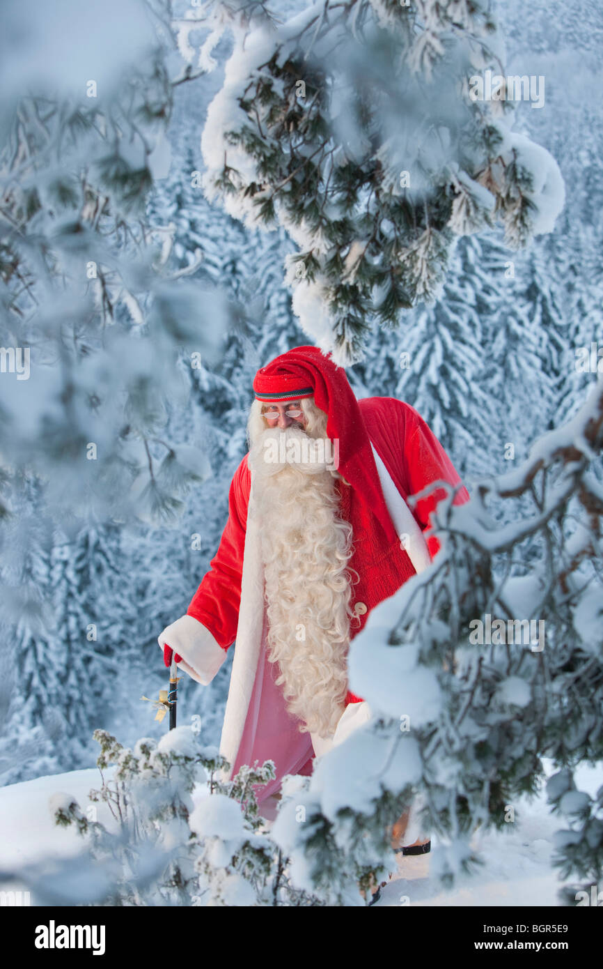 Santa Claus in una bella foresta Foto Stock
