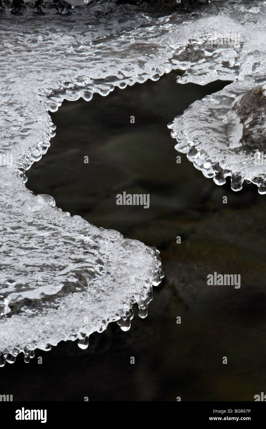 La formazione di ghiaccio sul piccolo fiume di piccione in Greenbrier Area del Parco Nazionale di Great Smoky Mountains in Tennessee Foto Stock