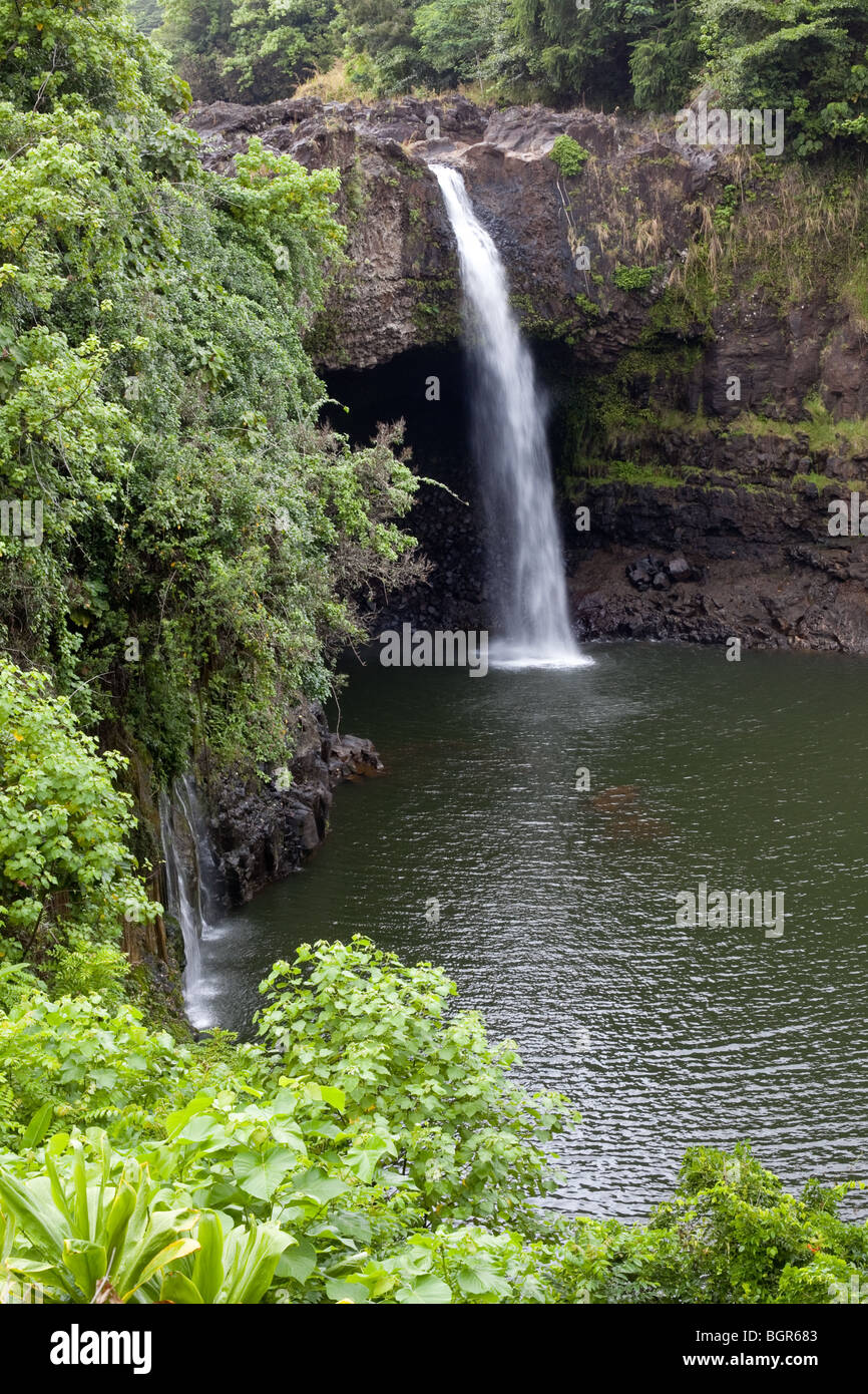 Una coppia di Hawaiian cascate Foto Stock