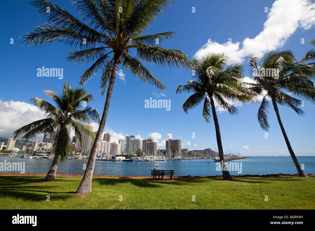 Alberi di palma e da una panchina nel parco di Ala Moana Park sull'isola di Oahu, Hawaii Foto Stock