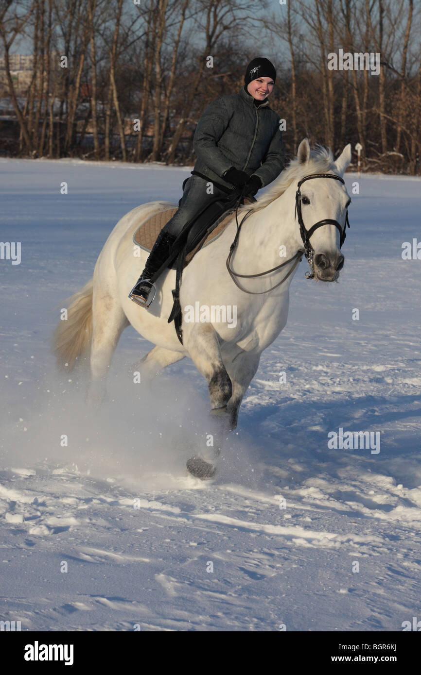 Giovane pilota sul retro del cavallo bianco al galoppo in inverno Foto Stock