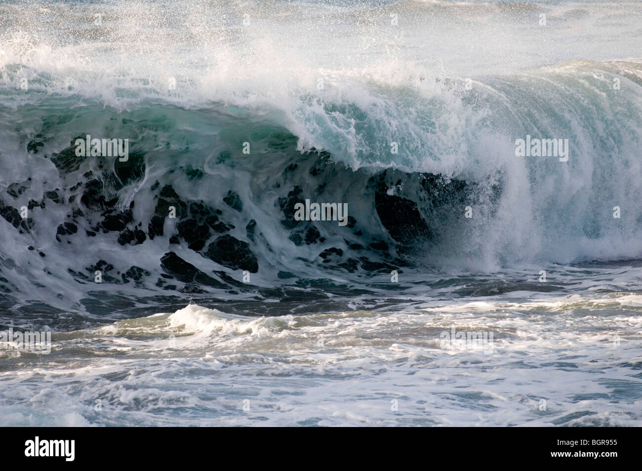 Onda di mare mosso i cavalli bianchi navigare navigare rulli atlantico crash di schiantarsi acqua mare mare blu spray Surf Fuerteventura c Foto Stock