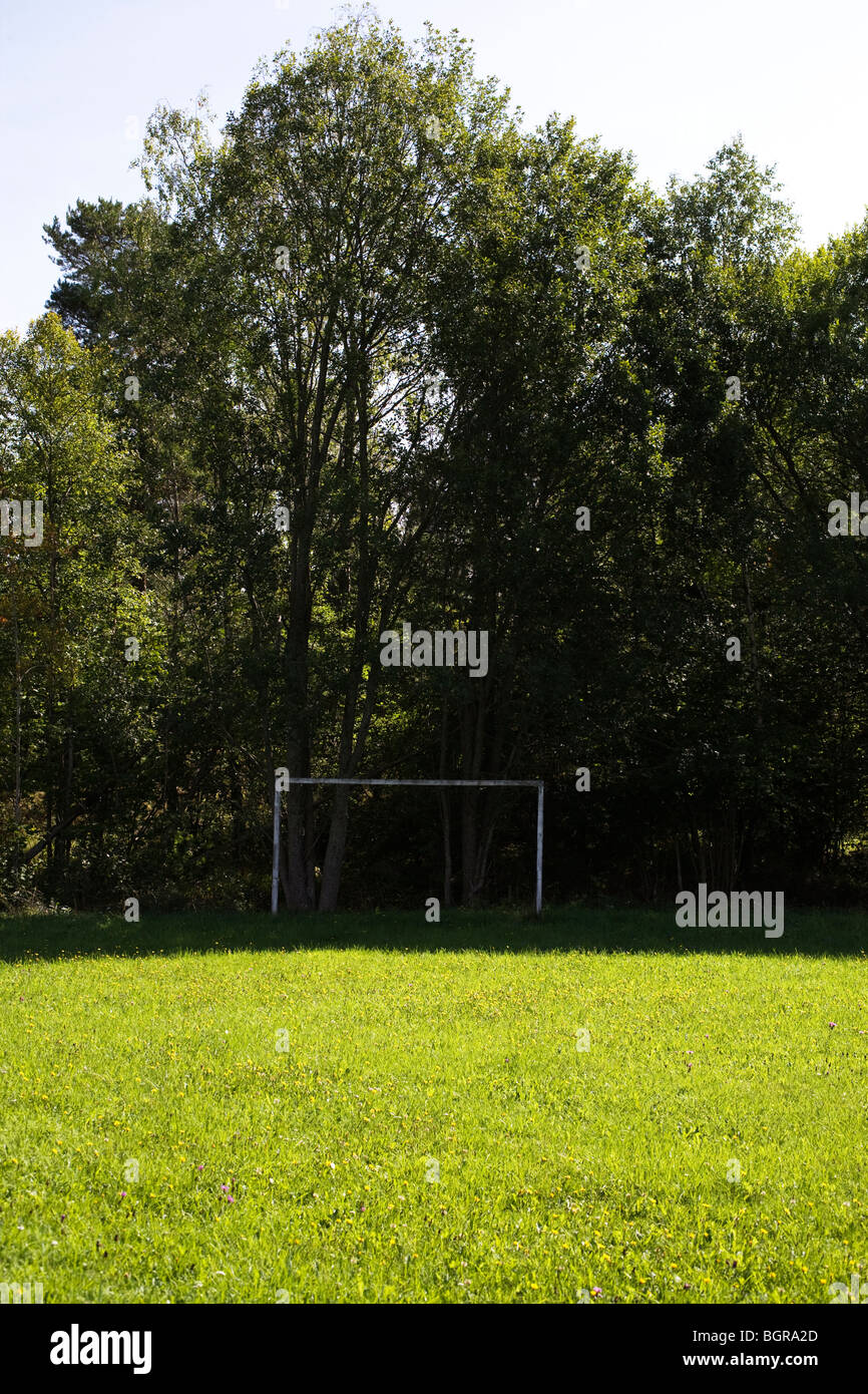 Un obiettivo di calcio in corrispondenza del bordo di una foresta Foto Stock