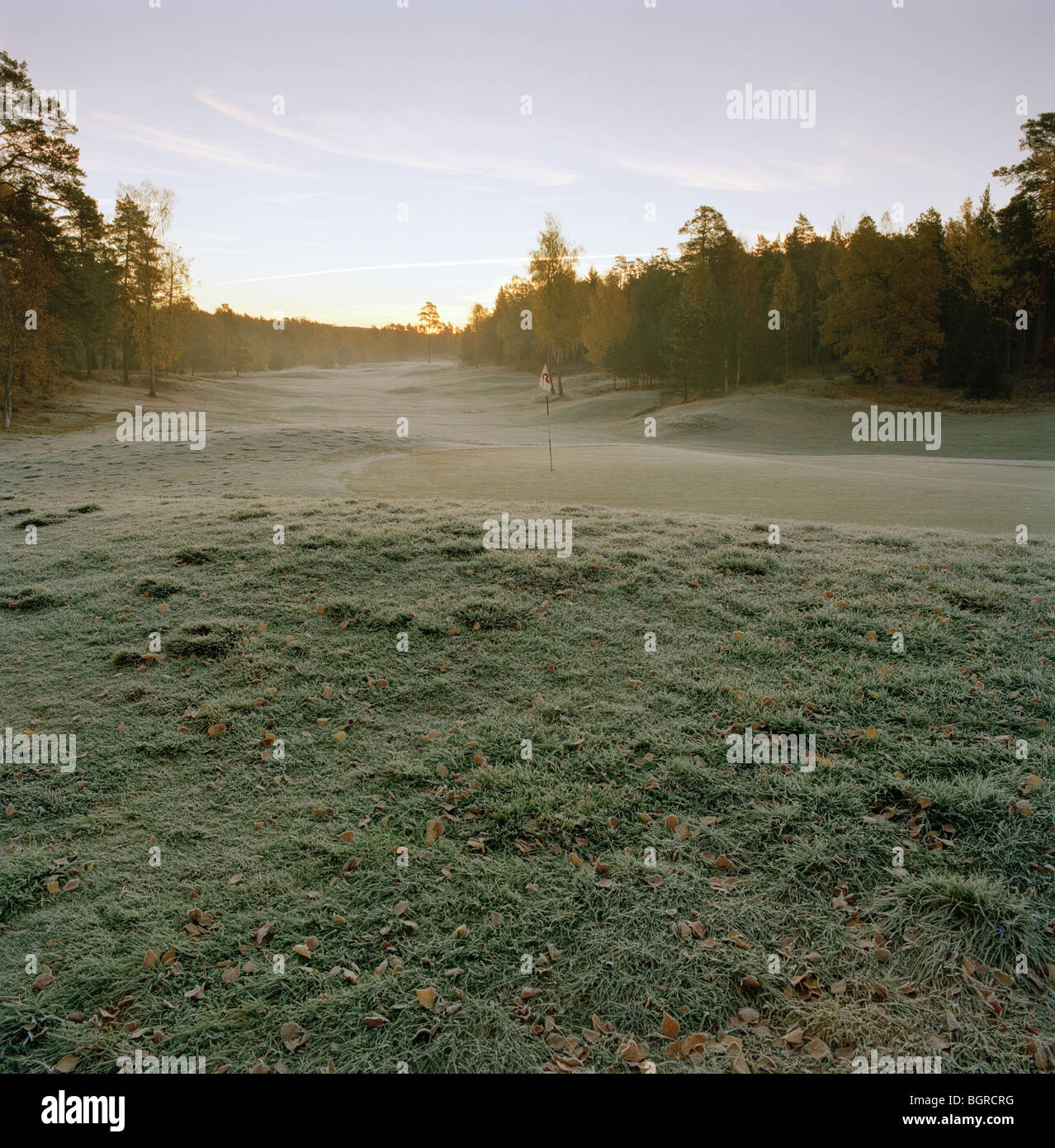 Un gelido campo da golf all'alba, Svezia. Foto Stock